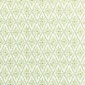 Malina Grass by Kravet Basics Fabric