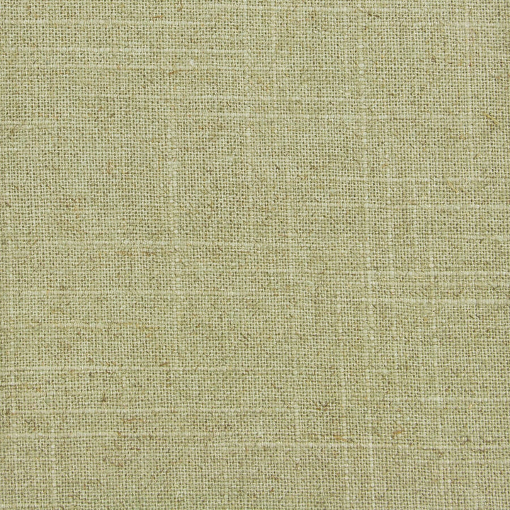 Manage 79 Basil by Stout Fabric Linen Looks 55% Linen 45% Spun Viscose CHINA WYZENBEEK 12 000 DOUBLE RUB WEAR TEST (MEDIUM DUTY) FLAME RETARDANT-CA BULLETIN 117-SECTION E FLAME RETARDANT-U.F.A.C. CLASS 1 (OR A) FLAME RETARDANT-N.F.P.A. 260A CLASS 1 Horizontal: 0 and Vertical: 0 54 in - Fabric Carolina -