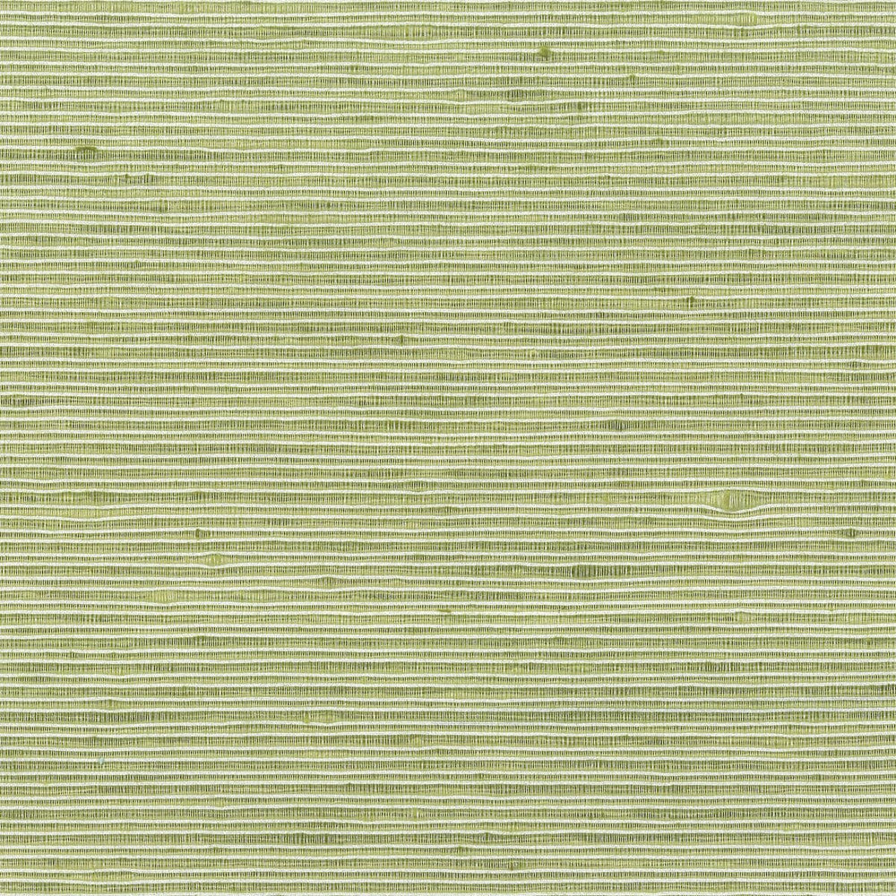 Manning 14 Apple by Stout Fabric City Life 100% Polyester INDIA Horizontal: 0 and Vertical: 0 54 in - Fabric Carolina -