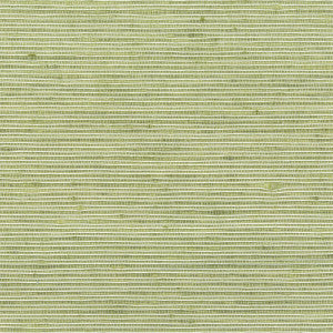 Manning 14 Apple by Stout Fabric