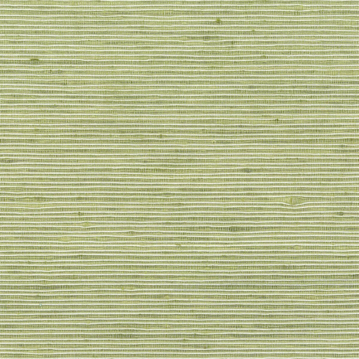 Manning 14 Apple by Stout Fabric CITY LIFE 100%POL INDIA Horizontal: 0 and Vertical: 0 54 in - Fabric Carolina -