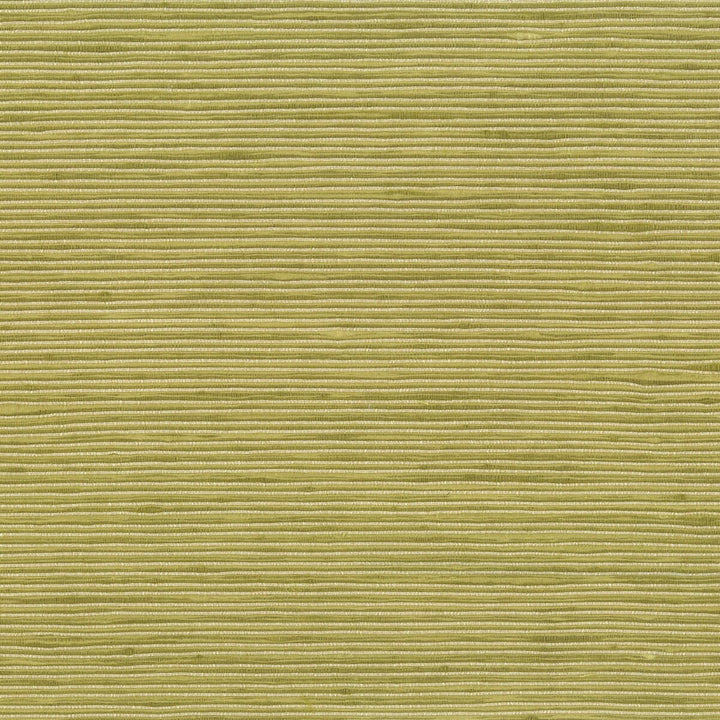 Manning 16 Pear by Stout Fabric CITY LIFE 100%POL INDIA Horizontal: 0 and Vertical: 0 54 in - Fabric Carolina -
