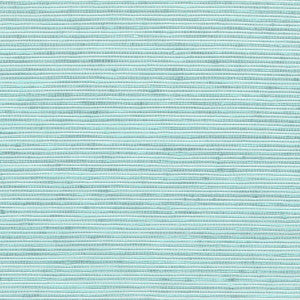 Manning 2 Aqua by Stout Fabric