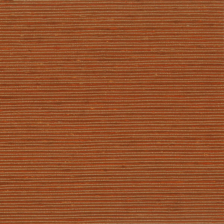 Manning 3 Pumpkin by Stout Fabric City Life 100% Polyester INDIA Horizontal: 0 and Vertical: 0 54 in - Fabric Carolina -