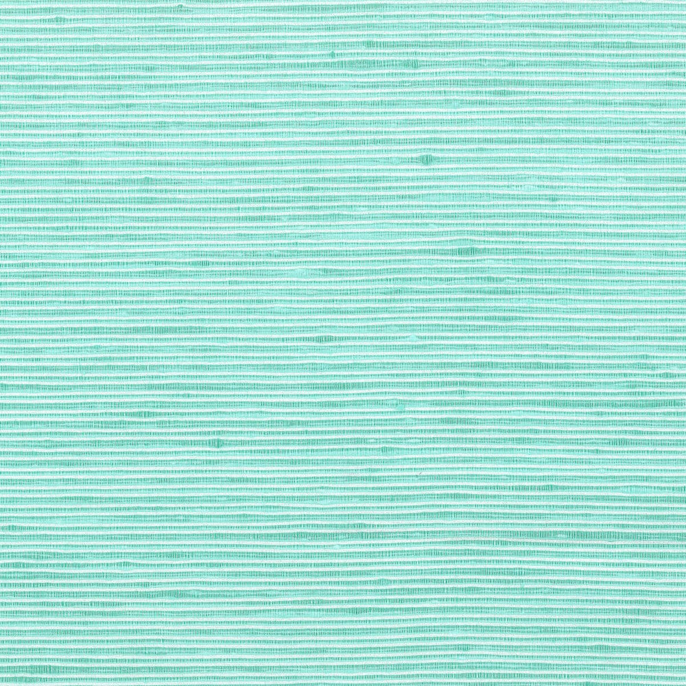 Manning 5 Turquoise by Stout Fabric CITY LIFE 100%POL INDIA Horizontal: 0 and Vertical: 0 54 in - Fabric Carolina -