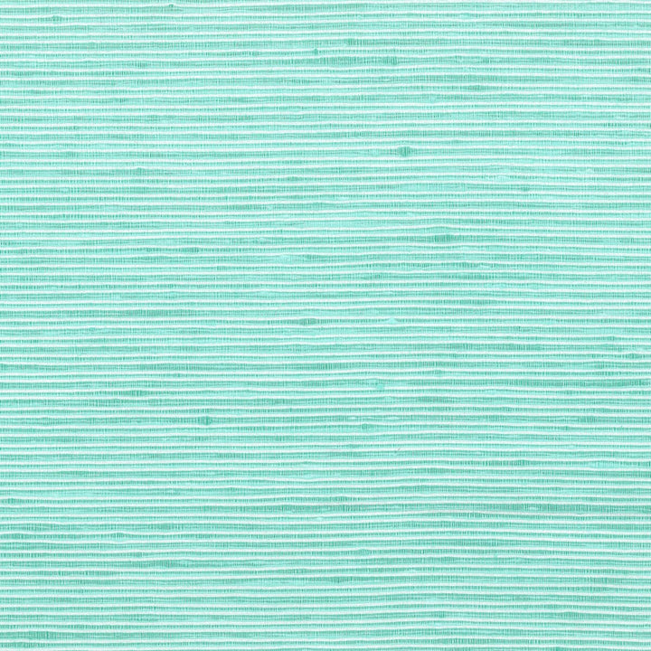 Manning 5 Turquoise by Stout Fabric City Life 100% Polyester INDIA Horizontal: 0 and Vertical: 0 54 in - Fabric Carolina -