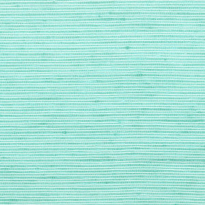 Manning 5 Turquoise by Stout Fabric