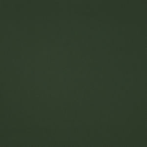 Mascot Grass by Norbar Designer Fabric MASCOT 100% POLYCARBONATE 54 - Swanky Fabrics -