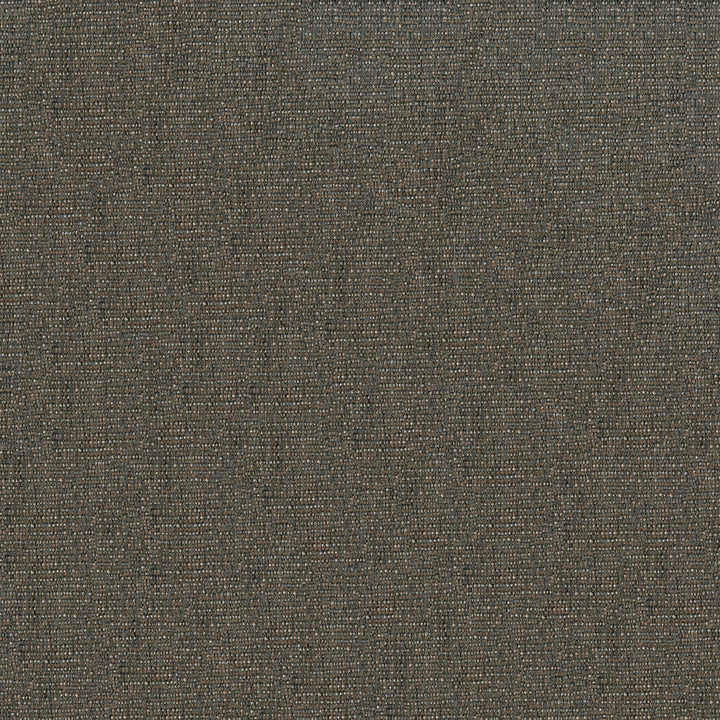 Riley 906 Mink by ABBEYSHEA Fabric 100% Polyester CN 15,000 Double Rubs (Wyzenbeek) </p><p>Repeat: Horizontal: and Vertical: 56 in. (143 cm) - Fabric Carolina -