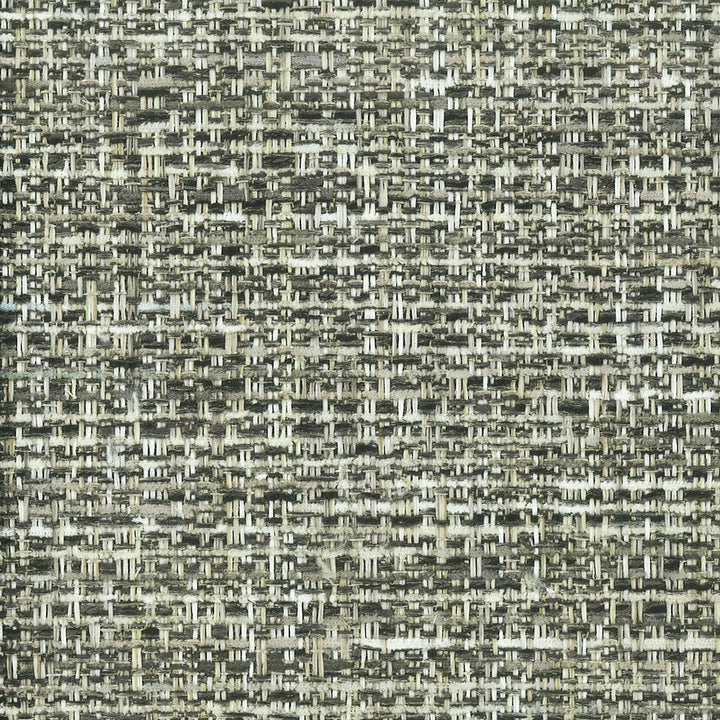 Masquerade 4 Charcoal by Stout Fabric Stout Fabric Masquerade 4 CharcoalFabric LIGHT N' EASY PERFORMANCE 100%POL INDIA </p><p>Repeat: H: 0.000, V: 0.000 54 in - Fabric Carolina -