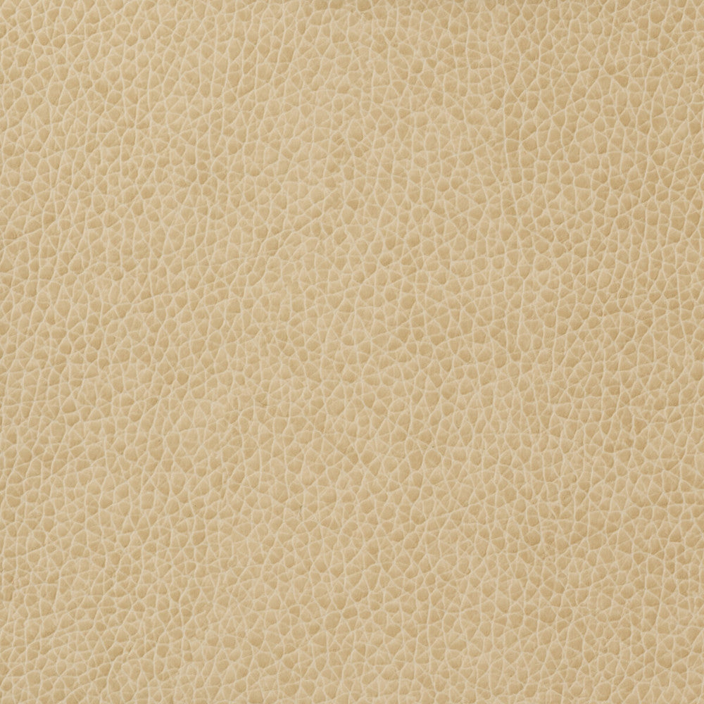 Matter-1116 by Kravet Basics Fabric POLYURETHANE - 100% China HEAVY Horizontal: and Vertical: 54 - Fabric Carolina -