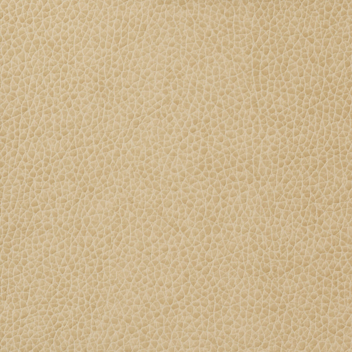 Kravet Basics Matter-1116 by Kravet Basics Fabric Kravet Basics Fabric Kravet Basics Matter-1116Fabric POLYURETHANE - 100% China </p><p>Repeat: H: , V: 54 - Fabric Carolina -