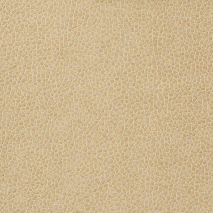Matter-1116 by Kravet Basics Designer Fabric - POLYURETHANE - 100% China HEAVY Horizontal: - and Vertical: - 54 - Swanky Fabrics -