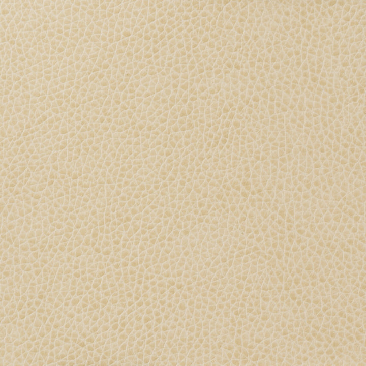 Matter-111 by Kravet Basics Fabric POLYURETHANE - 100% China HEAVY Horizontal: and Vertical: 54 - Fabric Carolina -