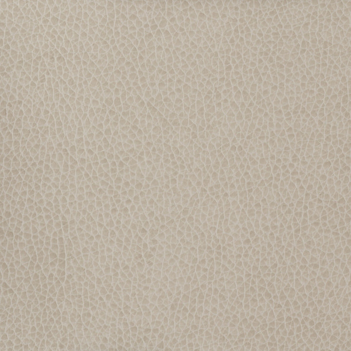 Kravet Basics Matter-11 by Kravet Basics Fabric Kravet Basics Fabric Kravet Basics Matter-11Fabric POLYURETHANE - 100% China </p><p>Repeat: H: , V: 54 - Fabric Carolina -