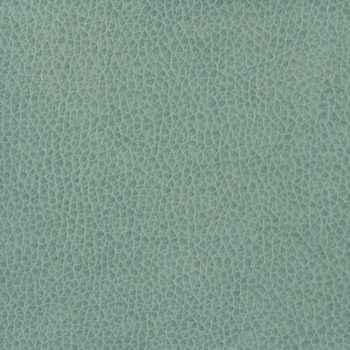 Kravet Basics Matter-15 by Kravet Basics Fabric Kravet Basics Fabric Kravet Basics Matter-15Fabric POLYURETHANE - 100% China </p><p>Repeat: H: , V: 54 - Fabric Carolina -