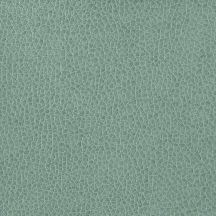 Kravet Basics Matter-15 by Kravet Basics Fabric Kravet Basics Fabric Kravet Basics Matter-15Fabric POLYURETHANE - 100% China </p><p>Repeat: H: , V: 54 - Fabric Carolina -