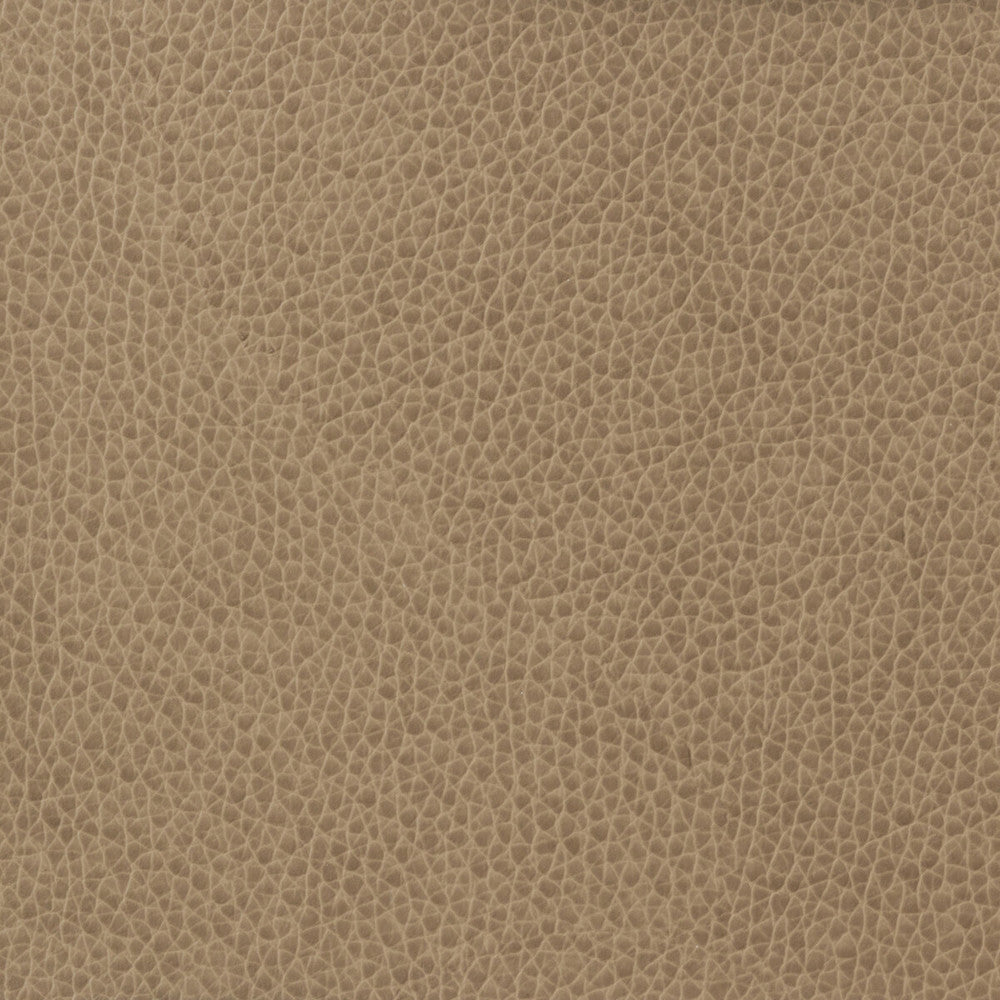 Matter-1611 by Kravet Basics Fabric POLYURETHANE - 100% China HEAVY Horizontal: and Vertical: 54 - Fabric Carolina -