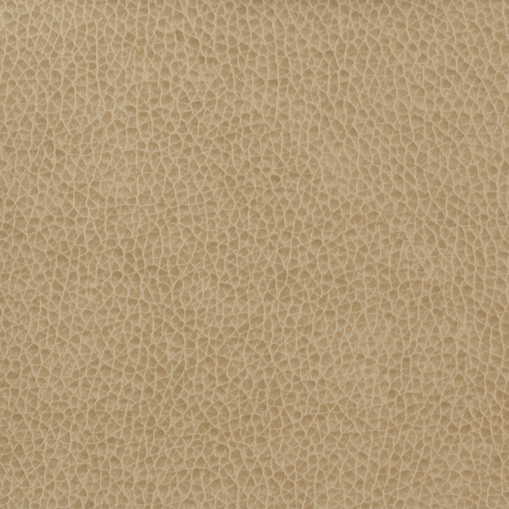 Kravet Basics Matter-1616 by Kravet Basics Fabric Kravet Basics Fabric Kravet Basics Matter-1616Fabric POLYURETHANE - 100% China </p><p>Repeat: H: , V: 54 - Fabric Carolina -