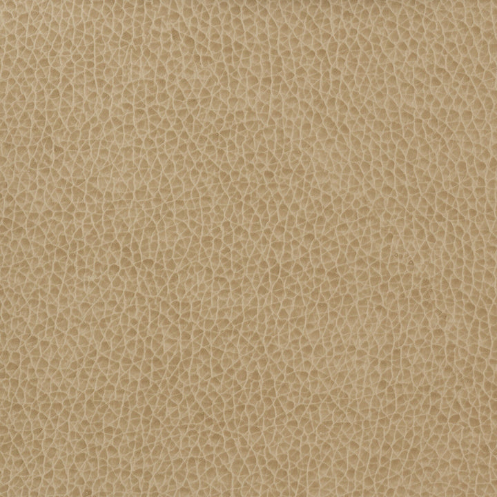 Kravet Basics Matter-1616 by Kravet Basics Fabric Kravet Basics Fabric Kravet Basics Matter-1616Fabric POLYURETHANE - 100% China </p><p>Repeat: H: , V: 54 - Fabric Carolina -
