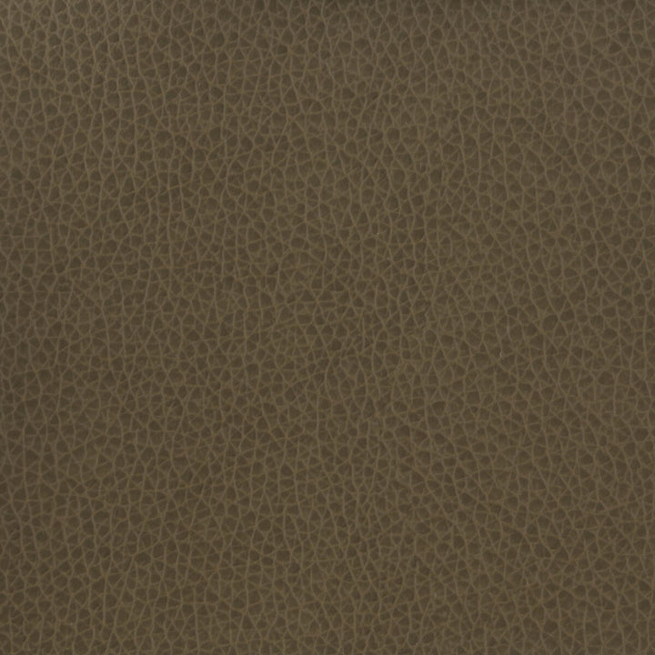 Matter-21 by Kravet Basics Fabric - POLYURETHANE - 100% China HEAVY Horizontal: - and Vertical: - 54 - Fabric Carolina -