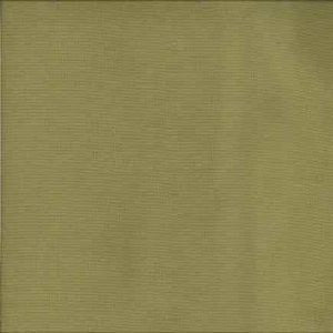 Maui Aloe by Norbar Fabric See Sample 100% POLYESTER - - </p><p>Repeat: Horizontal: and Vertical: - 55" - Fabric Carolina -