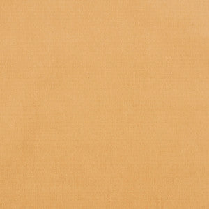 Maverick 12J7031 by JF Crypton Fabric