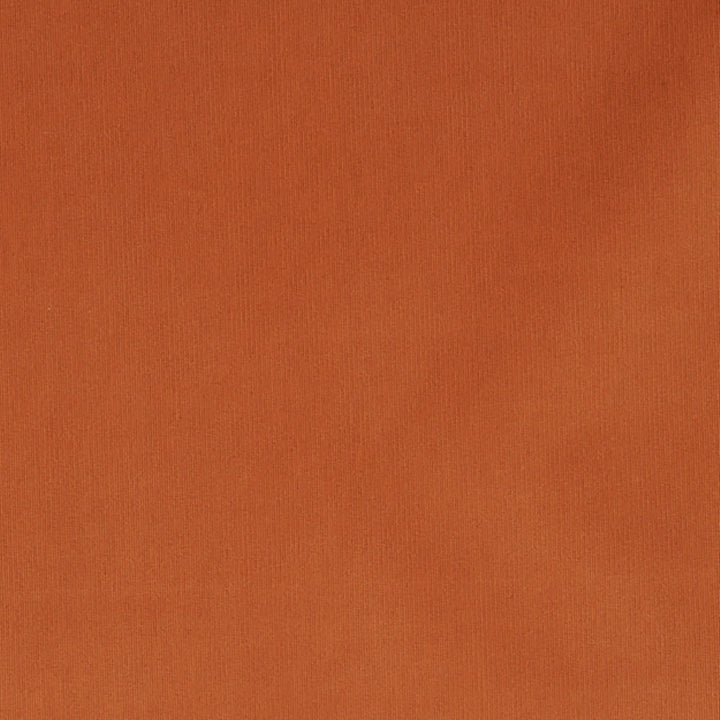 Maverick 25J7031 by JF Crypton Fabric Crypton Binder 100% Polyester China 50000 Horizontal: and Vertical: 54 - Fabric Carolina -