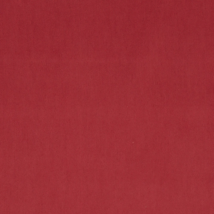 Maverick 45J7031 by JF Crypton Fabric Crypton Binder 100% Polyester China 50000 Horizontal: and Vertical: 54 - Fabric Carolina -