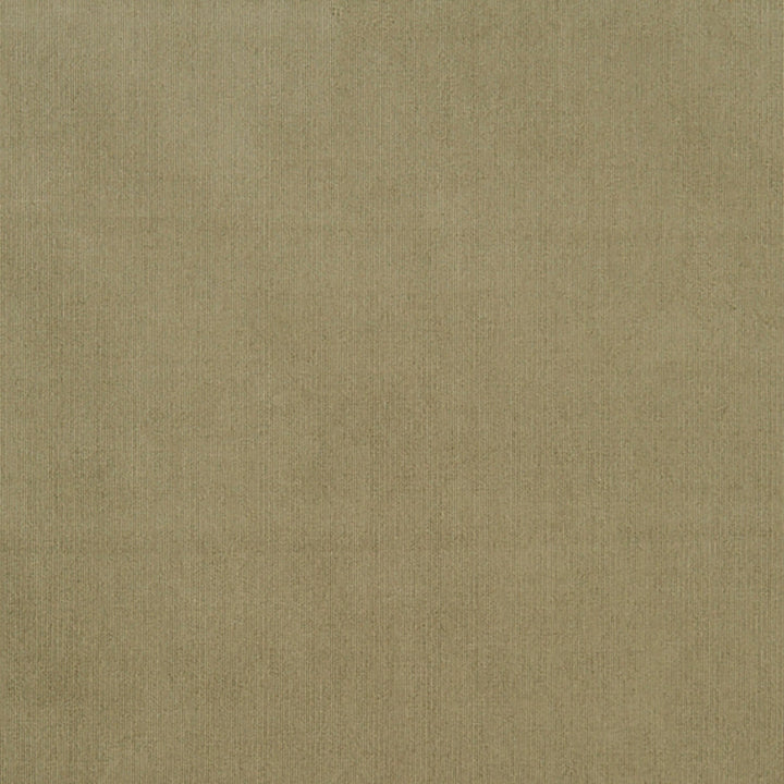 Maverick 76J7031 by JF Crypton Fabric Crypton Binder 100% Polyester China 50000 Horizontal: and Vertical: 54 - Fabric Carolina -