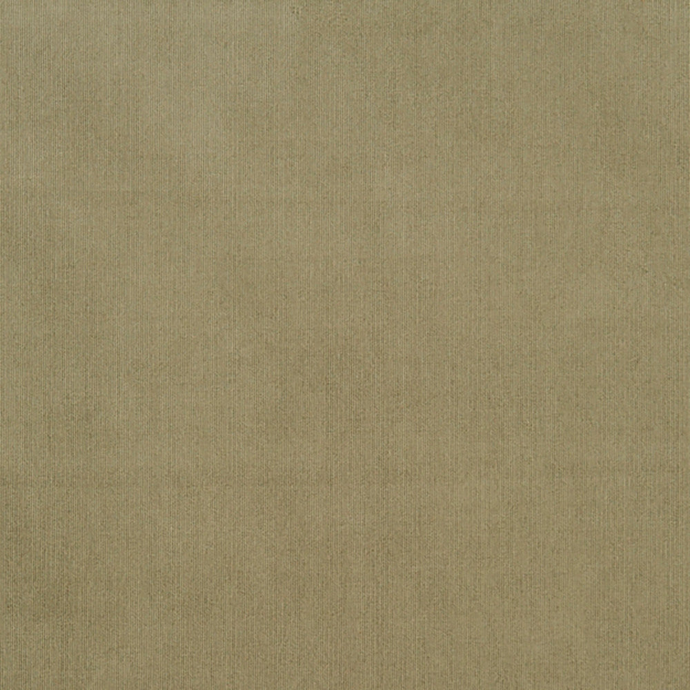 Maverick 76J7031 by JF Crypton Fabric Crypton Binder 100% Polyester China 50000 Horizontal: and Vertical: 54 - Fabric Carolina -