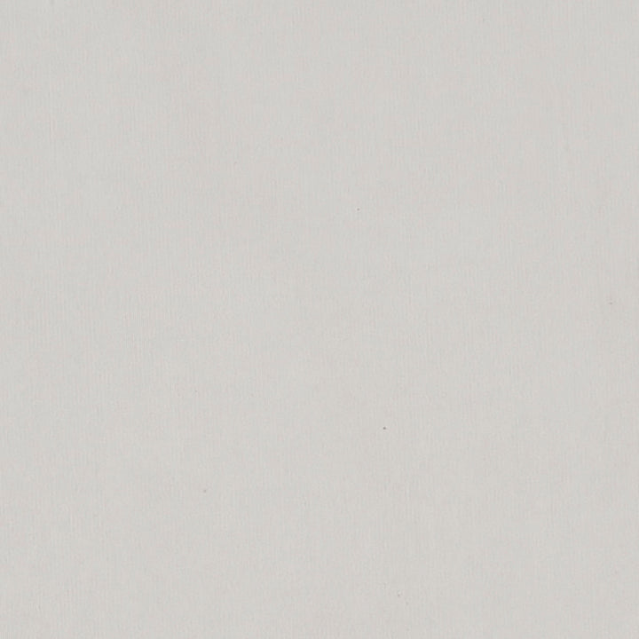 Maverick 91J7031 by JF Crypton Fabric Crypton Binder 100% Polyester China 50000 Horizontal: and Vertical: 54 - Fabric Carolina -