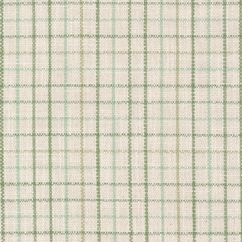 Maximus 3 Aloe by Stout Fabric RAINBOW LIBRARY SAGE/CYPRESS 100%POL CHINA Horizontal: 2.500 and Vertical: 2.500 55 in - Fabric Carolina -