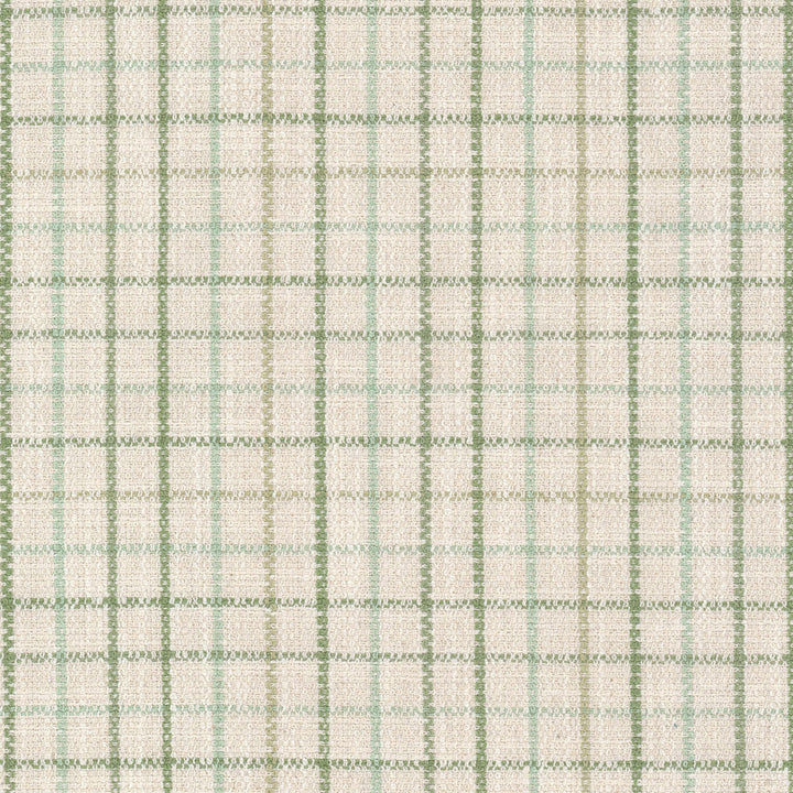 Maximus 3 Aloe by Stout Fabric RAINBOW LIBRARY SAGE/CYPRESS 100%POL CHINA Horizontal: 2.500 and Vertical: 2.500 55 in - Fabric Carolina -