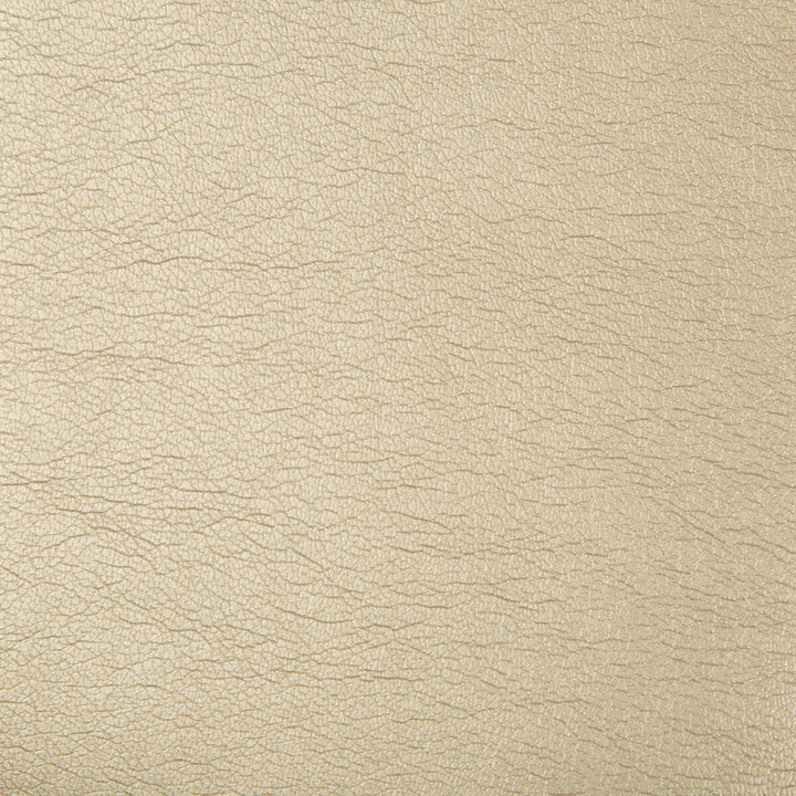 Maximo Pewter by Kravet Contract Fabric POLYCARBONATE - 100% China HEAVY Horizontal: and Vertical: 54 - Fabric Carolina -