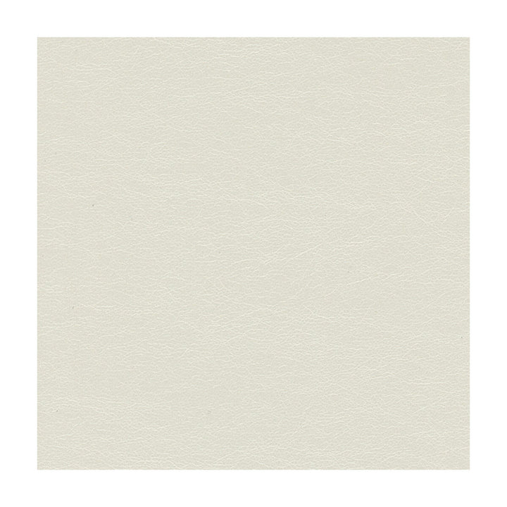 Maximo Lumine by Kravet Contract Fabric CANDICE OLSON COLLECTION POLYCARBONATE - 100% China HEAVY Horizontal: - and Vertical: - 54 - Fabric Carolina -
