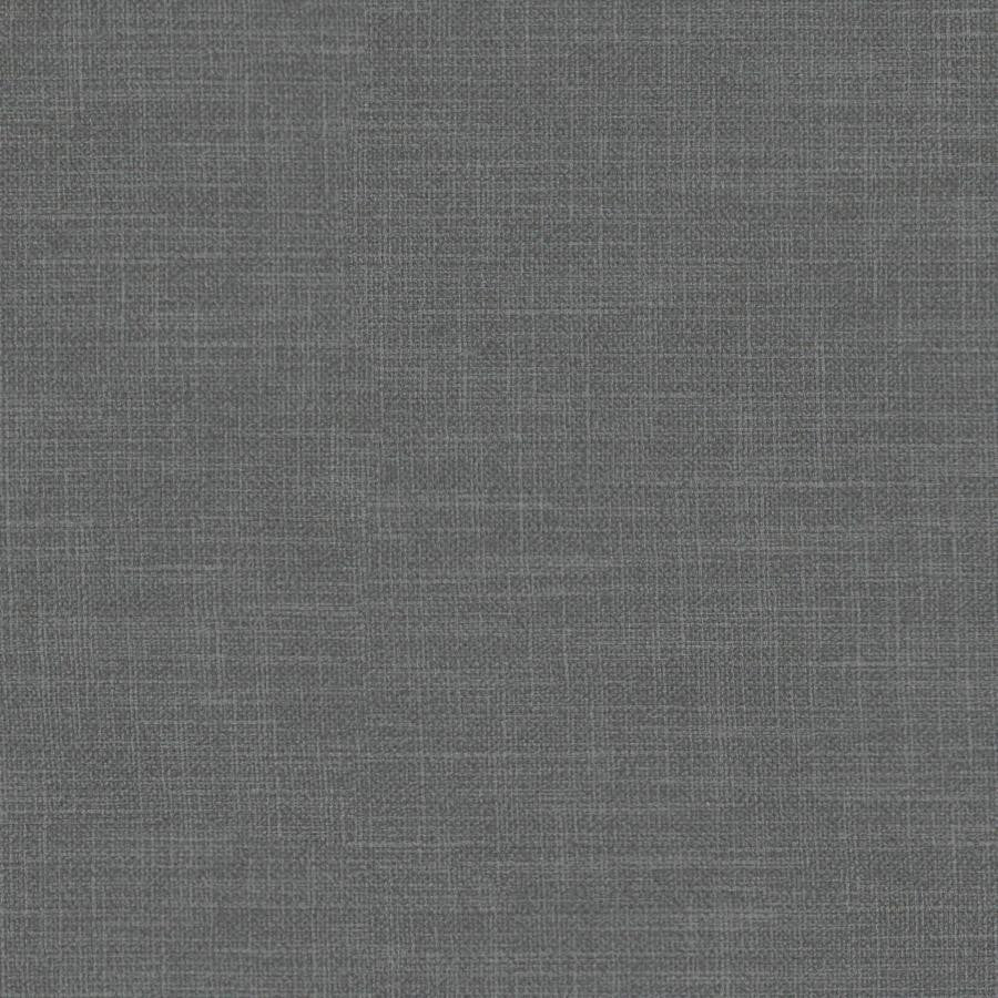 Martina # 134 Griffin by Maxwell Fabric Wide Width Basics Iii 100% POLYESTER INDIA 118" - Fabric Carolina -