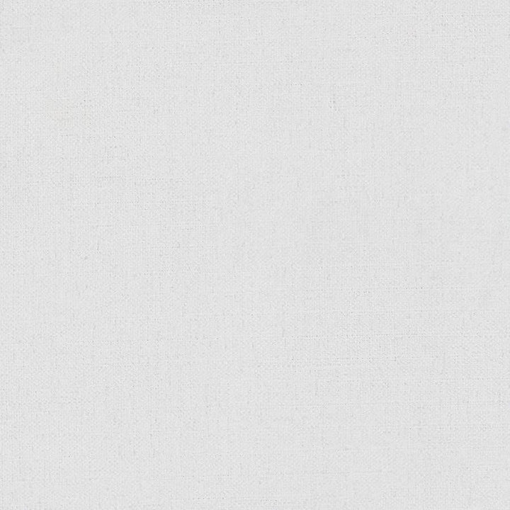 Martina # 147 Jasmine by Maxwell Designer Fabric Wide Width Basics Iii 100% POLYESTER INDIA 118" - Swanky Fabrics -