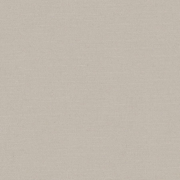 Martina # 164 Linen by Maxwell Fabric Wide Width Basics Iii 100% POLYESTER INDIA 118" - Fabric Carolina -
