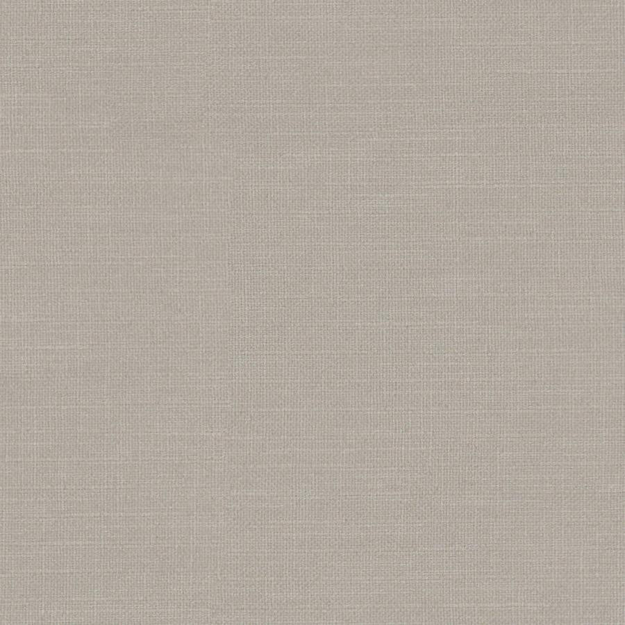 Martina # 167 Travertine by Maxwell Fabric Wide Width Basics Iii 100% POLYESTER INDIA 118" - Fabric Carolina -