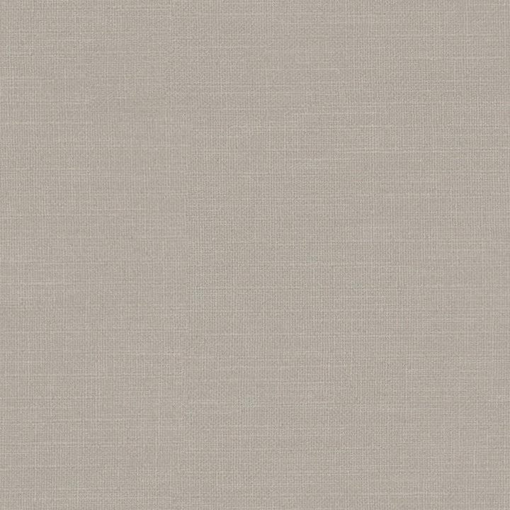 Martina # 167 Travertine by Maxwell Fabric Wide Width Basics Iii 100% POLYESTER INDIA 118" - Fabric Carolina -