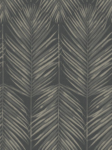 Paradise Palm Black Sands by Seabrook Wallpaper