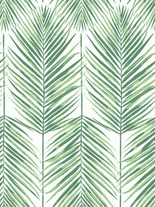 Paradise Palm Greenery by Seabrook Wallpaper