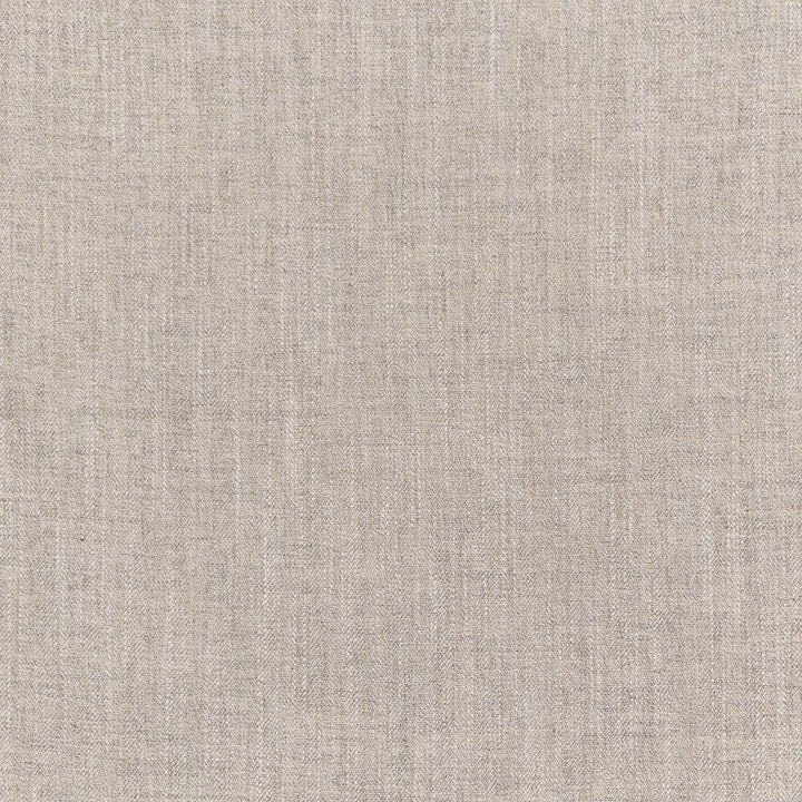Manitoba # 229 Driftwood by Maxwell Fabric Color Theory-Vol. Ix Marble 100% POLYESTER INDIA 54" - Fabric Carolina -