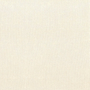 Mcintyre 3 Ecru by Crypton Fabric
