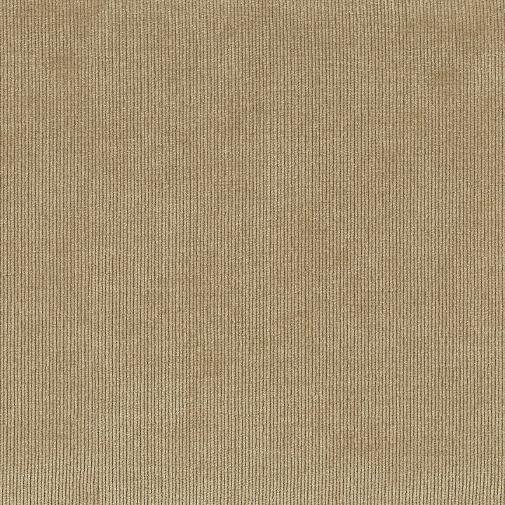 Mcintyre 4 Sandalwood by Crypton Fabric PERFORMANCE SOLIDS BY CRYPTON HOME 100%POL CHINA FLAME RETARDANT-CA BULLETIN 117-SECTION E FLAME RETARDANT-U.F.A.C. CLASS 1 FLAME RETARDANT-N.F.P.A. 260A CLASS 1 WYZENBEEK 50 000 DOUBLE RUB WEAR TEST (HEAVY DUTY) Horizontal: 0 and Vertical: 0 54 in - Fabric Carolina -