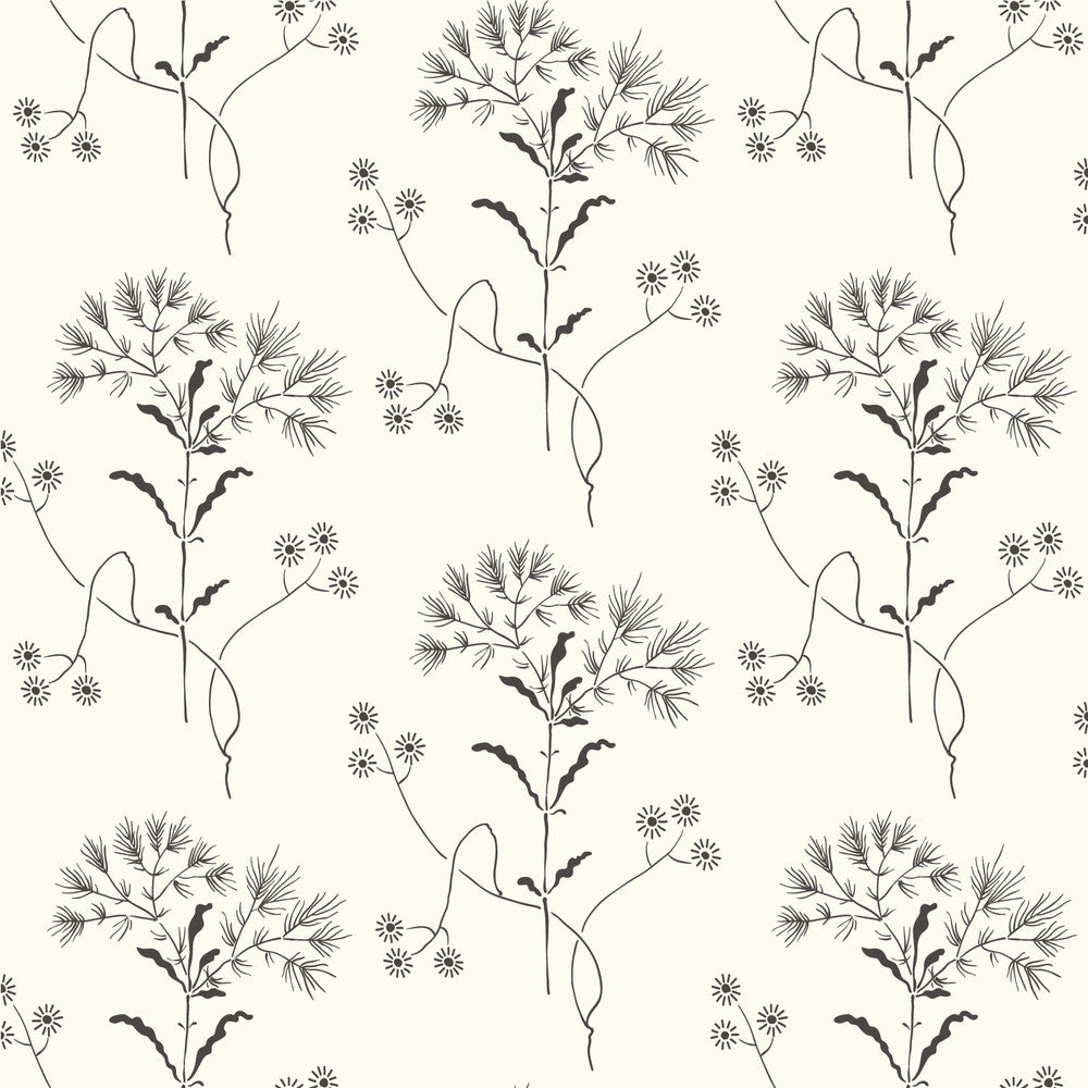 Wildflower Black & White Wallpaper by Magnolia Home Magnolia Home Vol. II Covers about 56.4 square feet 20.5-in by 33-ft long roll Prepasted 10.25 - Fabric Carolina -