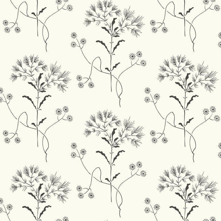 Wildflower Black & White Wallpaper by Magnolia Home Magnolia Home Vol. II Covers about 56.4 square feet 20.5-in by 33-ft long roll Prepasted 10.25 - Fabric Carolina -