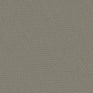 Nexus 6007 Greige by ABBEYSHEA Fabric