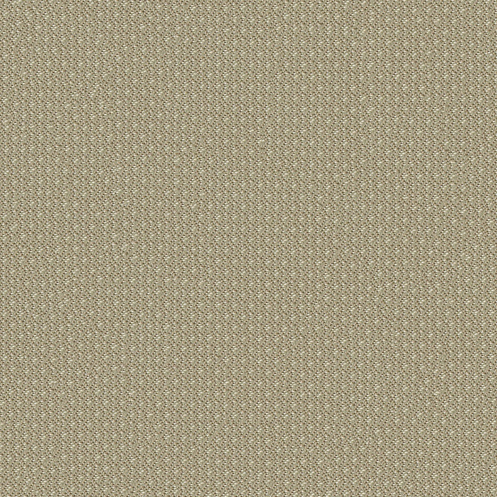 Nexus 6009 Taupe by ABBEYSHEA Fabric N/A 100% Polyester China 50,000 Double Rubs </p><p>Repeat: Horizontal: and Vertical: 56" (142 cm) - Fabric Carolina -